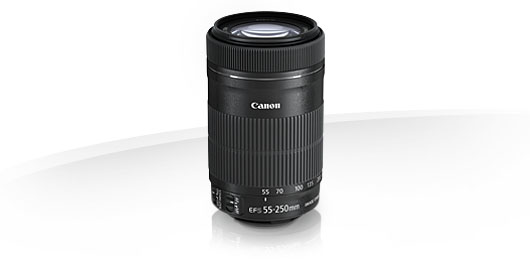 Canon EF-S 55-250mm f/4-5.6 IS STM - Lenses - Camera & Photo